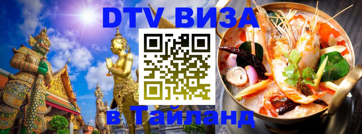 Сколько стоит DTV виза — актуальные цены, оформление даже без документов - 19.11.2025 